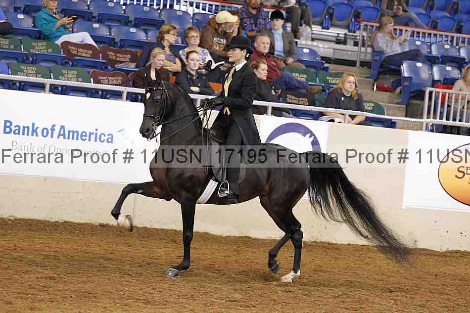 Proof Number 11usn_17195