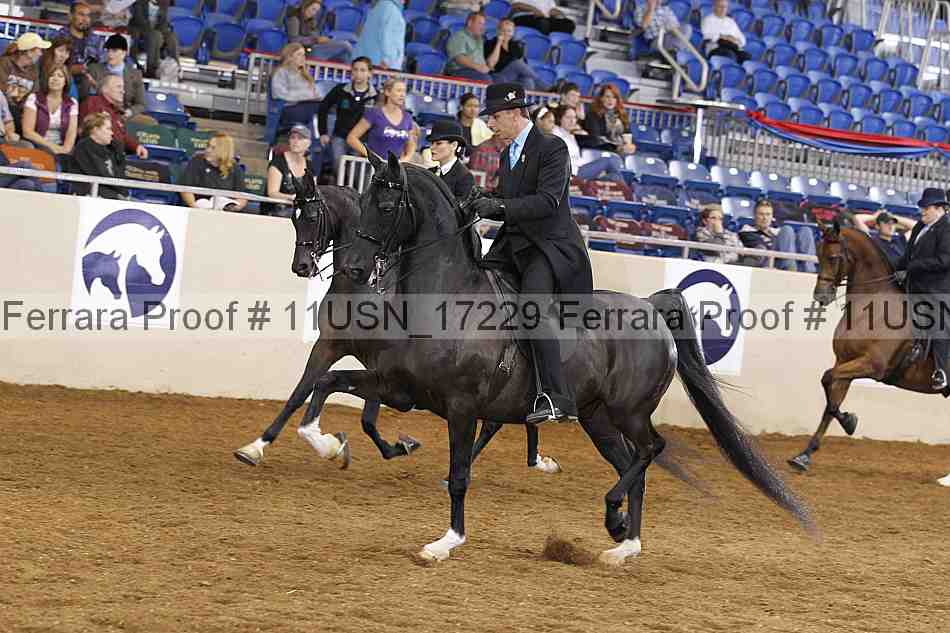 Proof Number 11usn_17229
