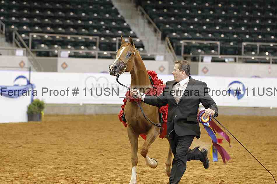 Proof Number 11usn_13025