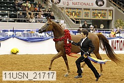 11usn_21717 thumbnail