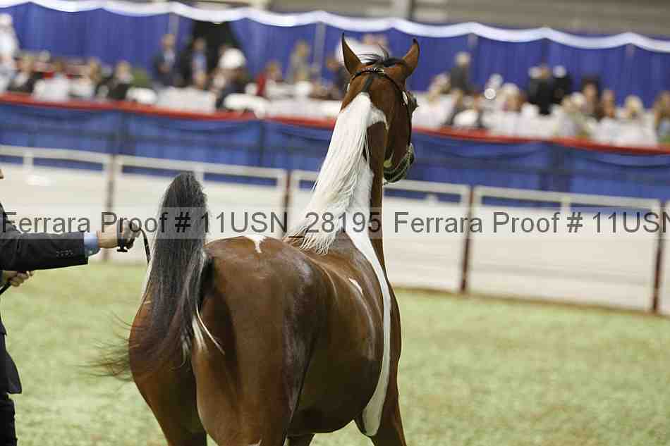 Proof Number 11usn_28195