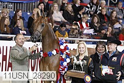 11usn_28290 thumbnail