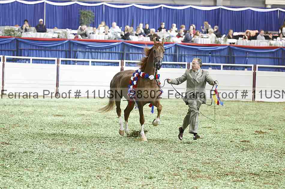 Proof Number 11usn_28302