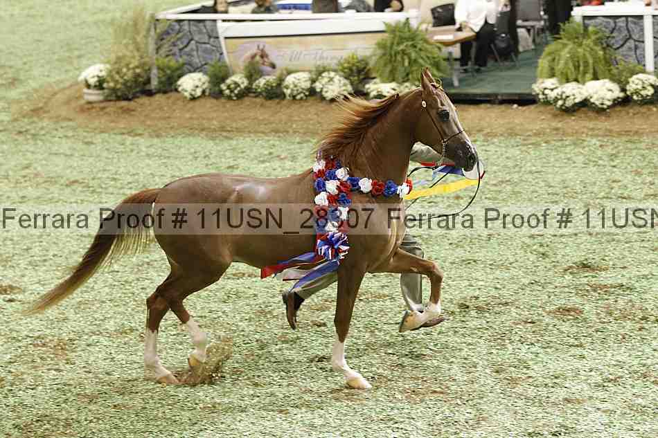Proof Number 11usn_28307