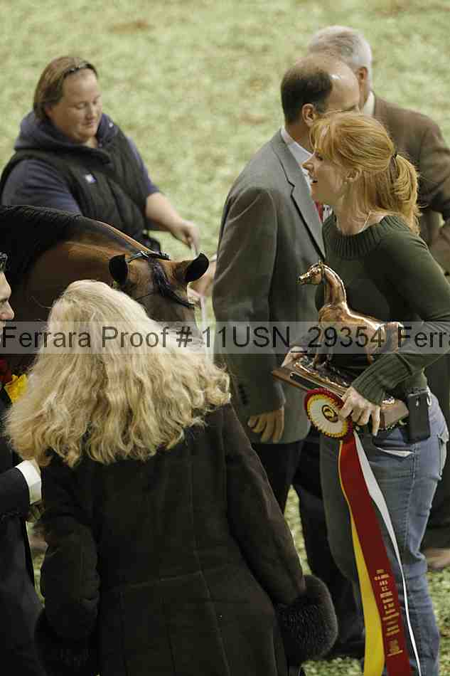 Proof Number 11usn_29354