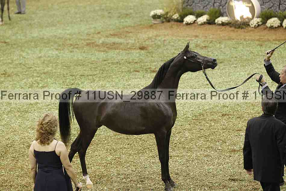Proof Number 11usn_29887