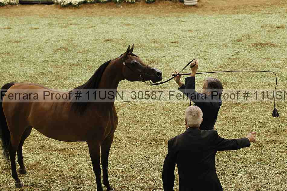 Proof Number 11usn_30587