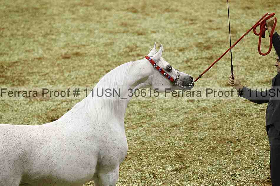 Proof Number 11usn_30615
