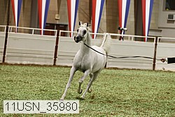 11usn_35980 thumbnail