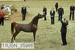 11usn_35986 thumbnail