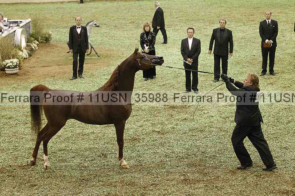 Proof Number 11usn_35988