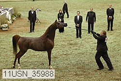 11usn_35988 thumbnail