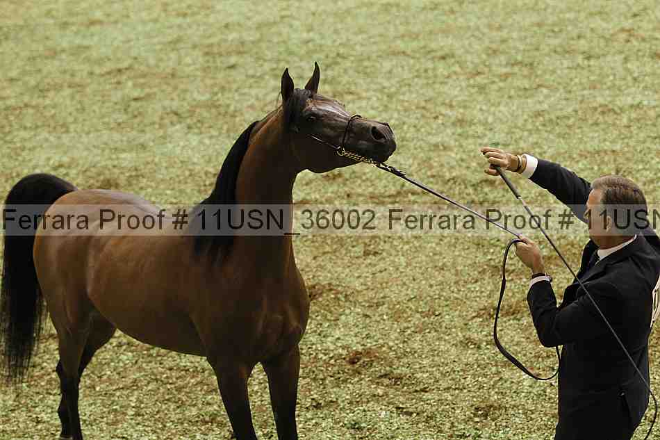 Proof Number 11usn_36002