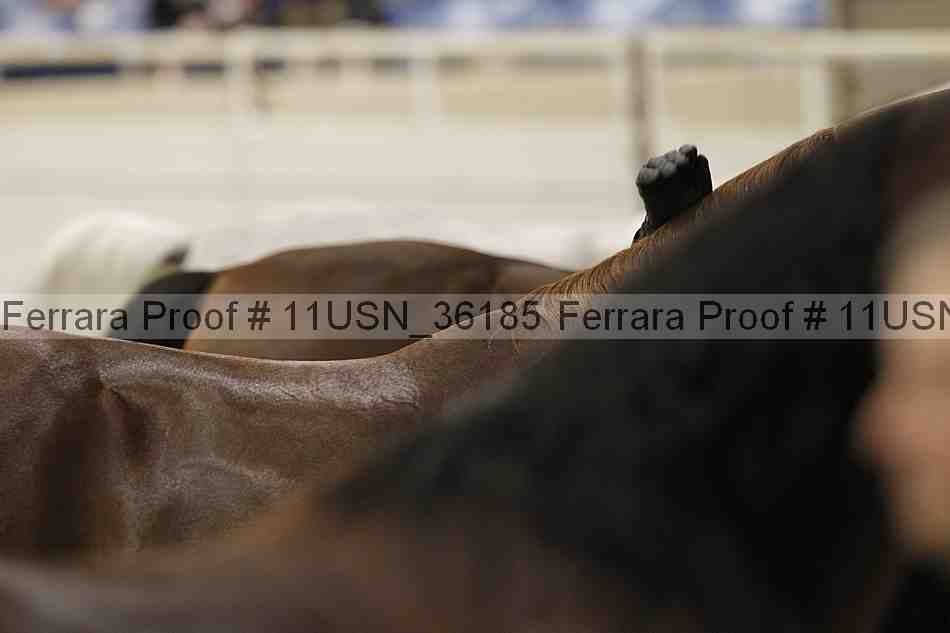 Proof Number 11usn_36185