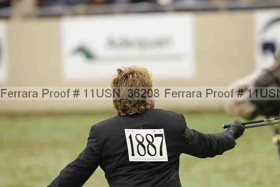 Proof Number 11usn_36208