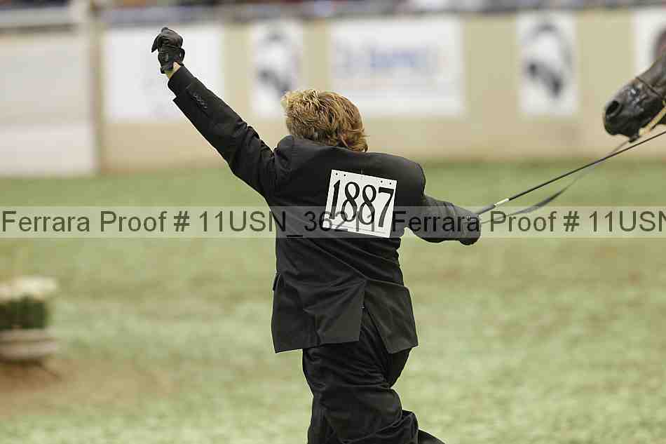 Proof Number 11usn_36211