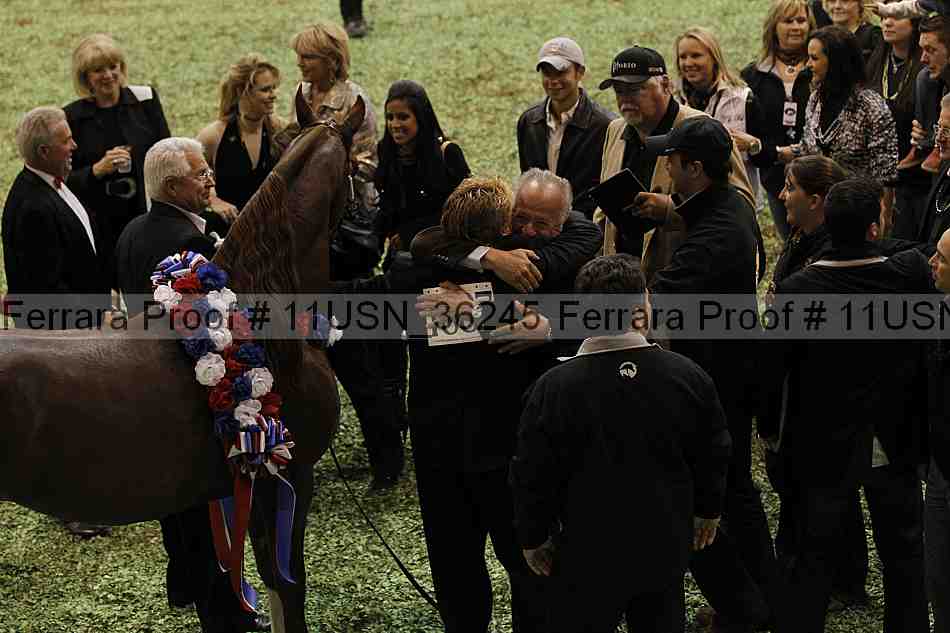 Proof Number 11usn_36245