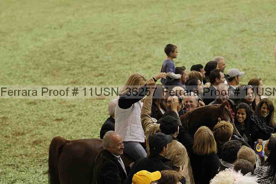 Proof Number 11usn_36257