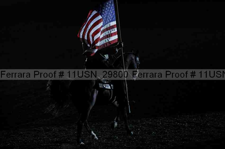 Proof Number 11usn_29800