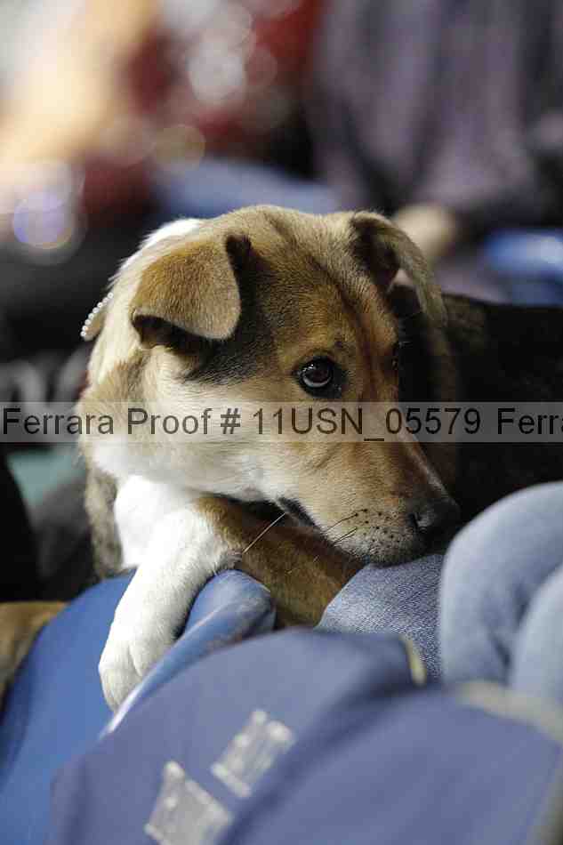 Proof Number 11usn_05579