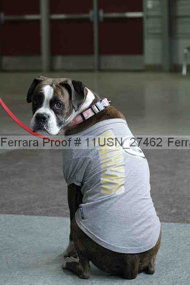 Proof Number 11usn_27462
