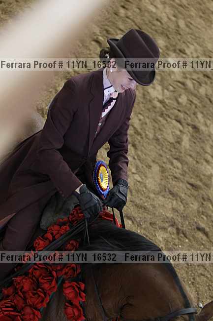 Proof Number 11yn_16532