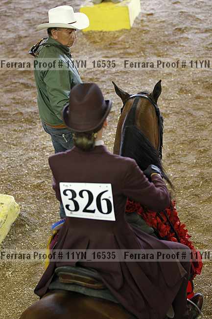 Proof Number 11yn_16535