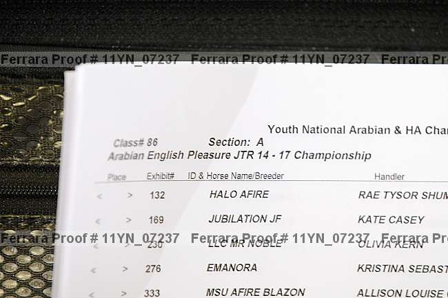 Proof Number 11yn_07237
