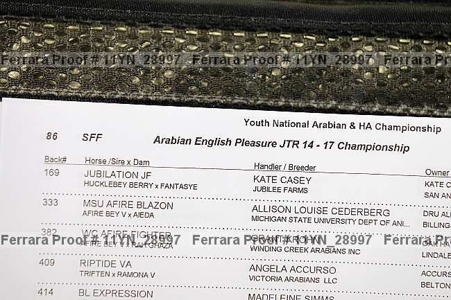 Proof Number 11yn_28997
