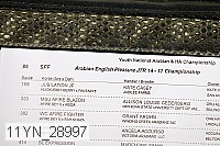 11yn_28997 thumbnail