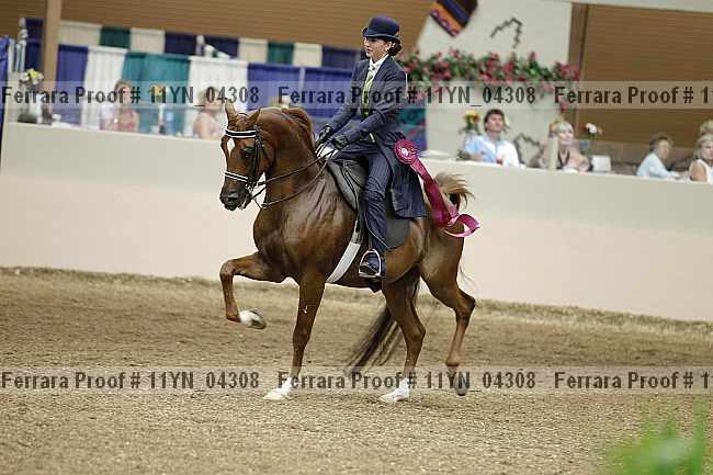 Proof Number 11yn_04308