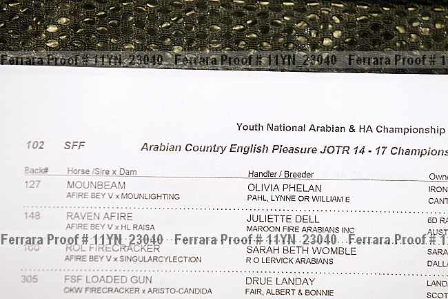 Proof Number 11yn_23040