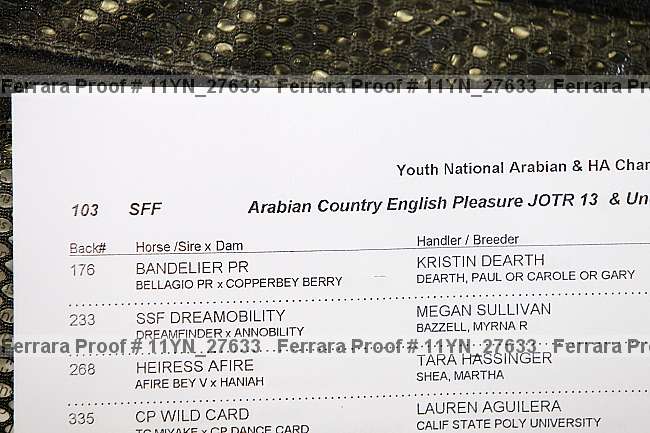Proof Number 11yn_27633