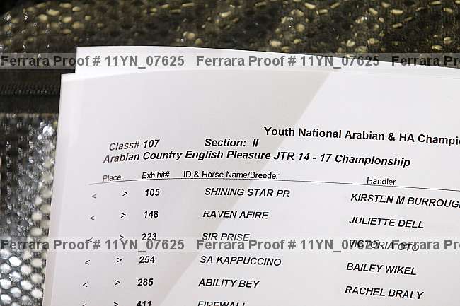 Proof Number 11yn_07625