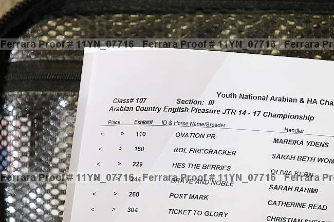 Proof Number 11yn_07716