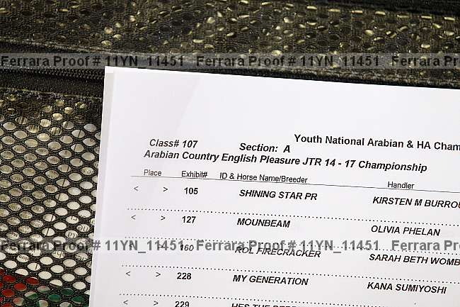 Proof Number 11yn_11451