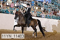 11yn_11483 thumbnail