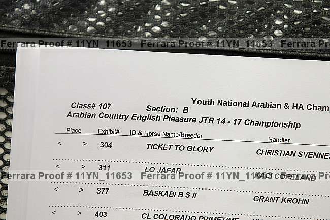 Proof Number 11yn_11653