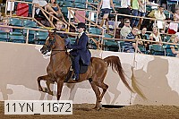11yn_11672 thumbnail