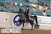11yn_11715 thumbnail