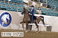 11yn_11720 thumbnail