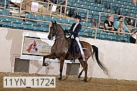 11yn_11724 thumbnail