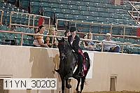 11yn_30203 thumbnail