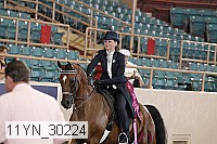 11yn_30224 thumbnail