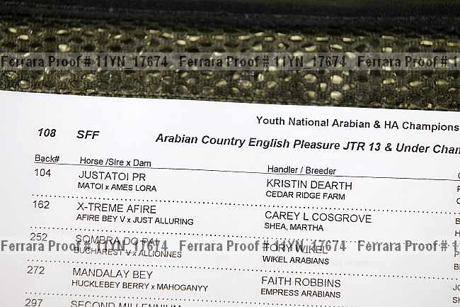 Proof Number 11yn_17674