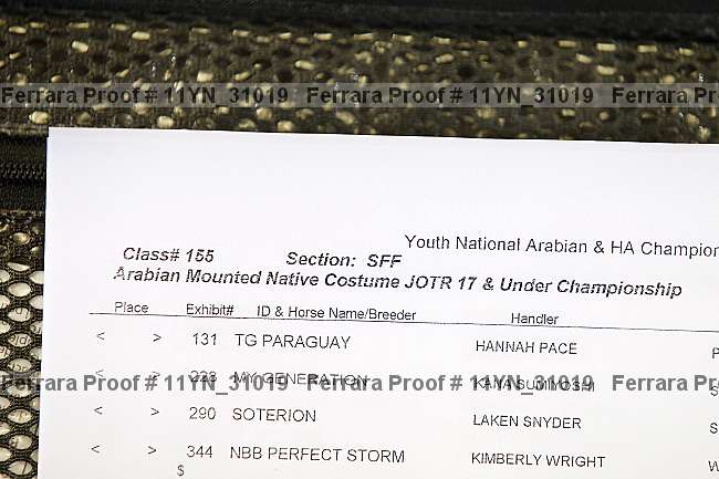 Proof Number 11yn_31019