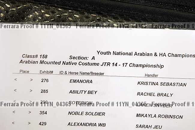 Proof Number 11yn_04365