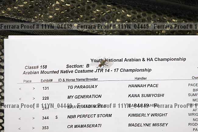 Proof Number 11yn_04449