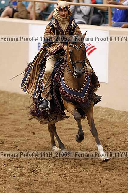 Proof Number 11yn_21053
