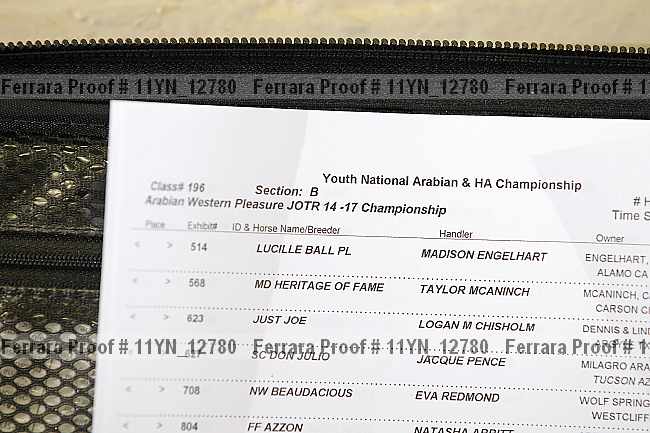 Proof Number 11yn_12780